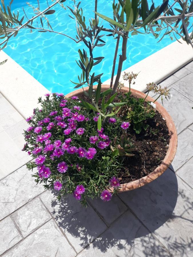 Holiday Home Bepo Sevid Bagian luar foto